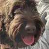 Doris Stieger - @dorisstieger - TikTok