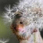 Doris Stoffel - @dost.9567 - Instagram