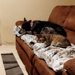 Doris Stoffels - @doris.stoffels.5 - Instagram