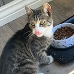 Doris Storm 🐈 f.21 - @doris.storm21 - Instagram