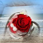 Doris Stricker - Facebook