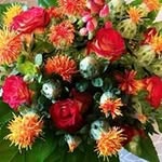 Doris Stricker - @strickerdoris - Instagram