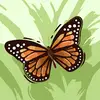 dorisstrickland98 - @doris.strickland8 - TikTok