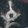 Doris Strobl - @dorisstrobl - TikTok
