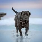 Doris Lee Stroud - @dorisleestroud - Instagram