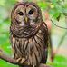 Doris Stroup - Facebook