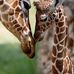 Doris Stuart - Facebook