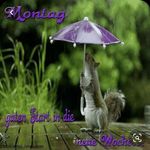 Doris Stuart - @habiene246 - Instagram