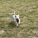 Doris Stuart - @dorisstuart - Instagram