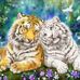 Doris Stubblefield - Facebook