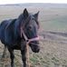 Darius Stupar - Facebook