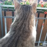 Doris Sturm - @sturmsdoris - Instagram