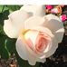 Doris Jean Swan - Facebook