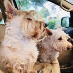 Doris Tanner - @doristanner36 - Instagram