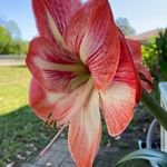 Doris Terrell - @doris.terrell - Instagram