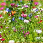 Doris Thiele - Facebook