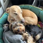 @dorisandbrianandtilleyguy2023 - Instagram