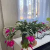 Doris Timm - @doris.timm - TikTok