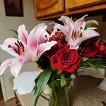 Doris Tolbert - @tolbert.doris - Instagram