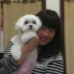 Doris Lee - @doris_tom - Instagram