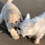 Travis and Doris - @travisanddoris - Instagram