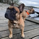 Doris and Tyson - @doris_and_tyson - Instagram