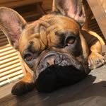 Tyson and Doris - @tyson_and_doris - Instagram