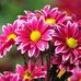 Doris Vallejo - Facebook