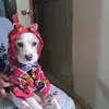 Doris Vallejo - @doris.vallejo62 - TikTok