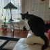 Doris Vance - Facebook