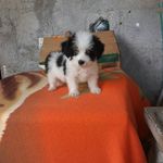 Doris Vera - @dor_isvera - Instagram
