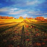 Doris Vogel - @doris.vogel.5059 - Instagram