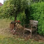 Doris Vogel - @doris.vogel47 - Instagram