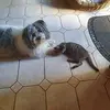 dorisvogel838 - @dorisvogel838 - TikTok