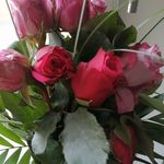 Vo Doris - @dorisvogel66 - Instagram