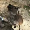 Doris von Matt - @doris.von.matt - TikTok