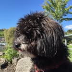 Doris von Rotz - @doris_von_rotz - Instagram