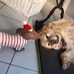 Doris von Uchtrup - @dorisvonuchtrup - Instagram