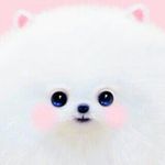 isabelle Doris Waite - @izzy_dizzylizzy - Instagram