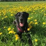 Doris Wallraff - @doriswallraff - Instagram
