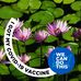 Doris Waller - Facebook