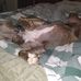 Doris Waller - Facebook