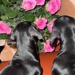 Doris & Walter - @doris.walter24 - Instagram