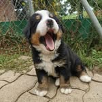 Doris Walter - @its_doris17 - Instagram