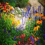 Doris Walter - @do.wa62 - Instagram