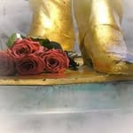 Doris Walter - @doriswalter1956 - Instagram