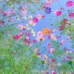 Doris Walter - @doris.walter.5494 - Instagram