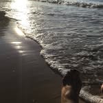 Doris Walter - @dowa9999 - Instagram