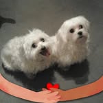 Doris Walter - @doris.walter.351 - Instagram