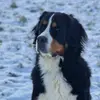 Doris - @doris_walther - TikTok